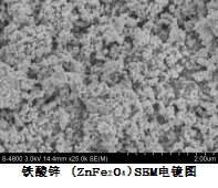 铁酸锌 (ZnFe2O4)SEM电镜图