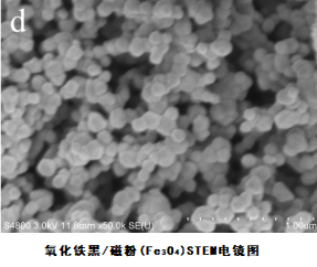 氧化铁黑、磁粉(Fe3O4) STEM电镜图